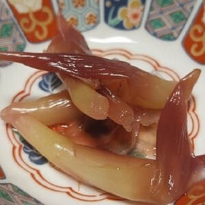 みょうが甘酢漬け